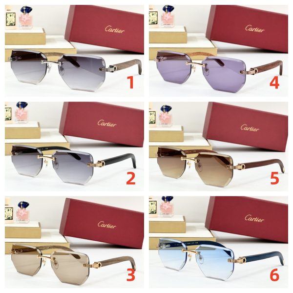 Cartier Glasses PARIS CT0620S